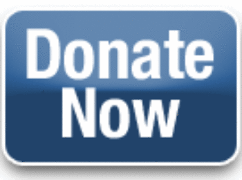 donate now graphic