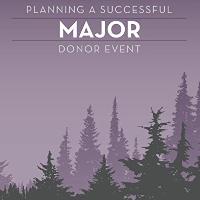 Planning a Successful Major Donor Event by Kristine Steele and Samantha Swaim Strategies for Non-Profit Fundraising Book