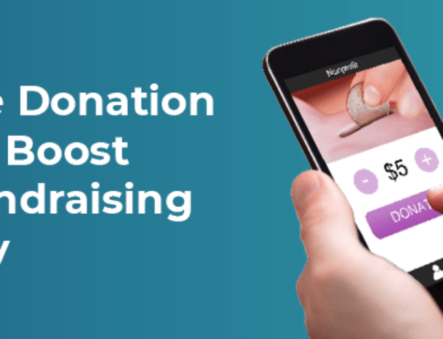 A person donates online on their cell phone.