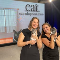This photo shows a moment from a virtual event with Cat Adoption Team.